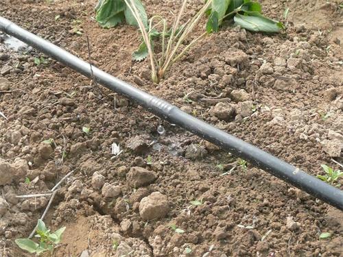 省水省时的节水灌溉方式