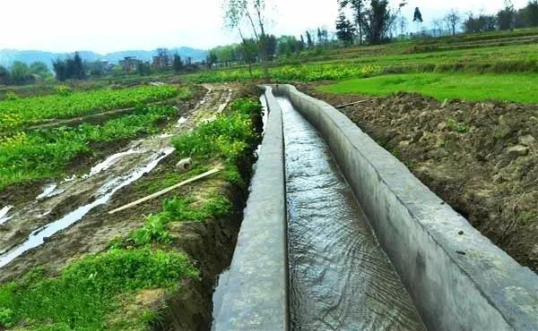 哪种节水灌溉方式最好？滴管、喷灌……选择适合的才是最好的