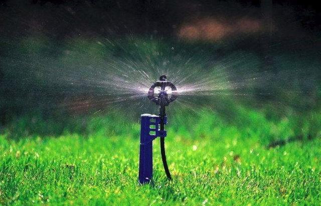 哪些灌溉方式是节水灌溉，你真的了解吗？