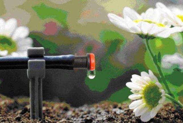 水肥一体化设备滴灌施肥的优点